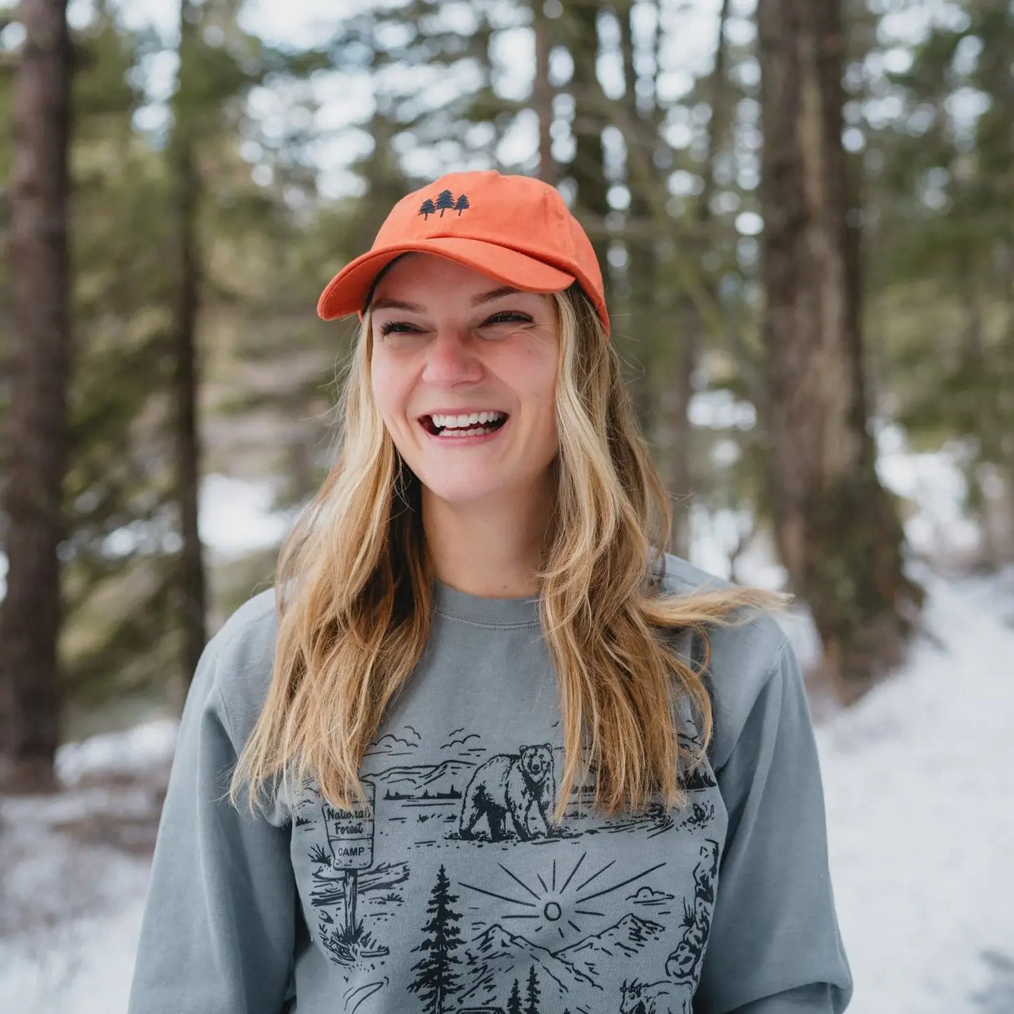 The Montana Scene - Dad Hat - various