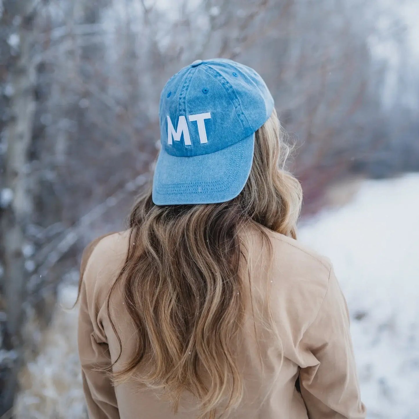 The Montana Scene - Dad Hat - various